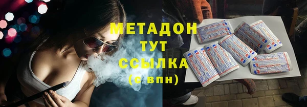 прущие грибы Аркадак
