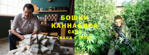 прущие грибы Аркадак