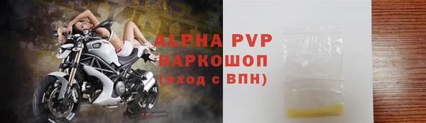 прущие грибы Аркадак