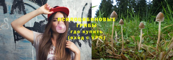 ALPHA-PVP Армянск