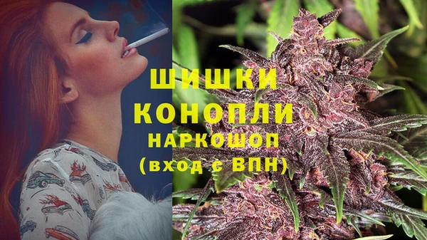 прущие грибы Аркадак